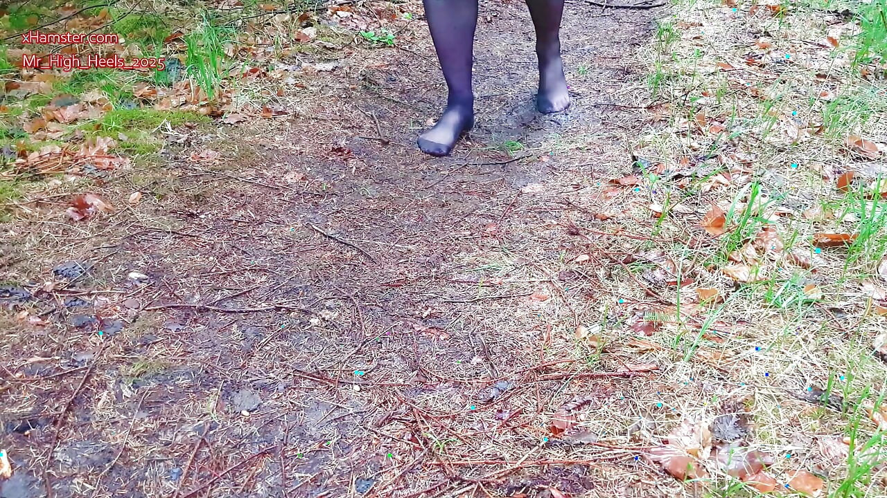 Nylon voeten in het bos
