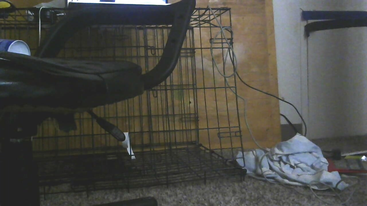 Take for some dick in this ass!