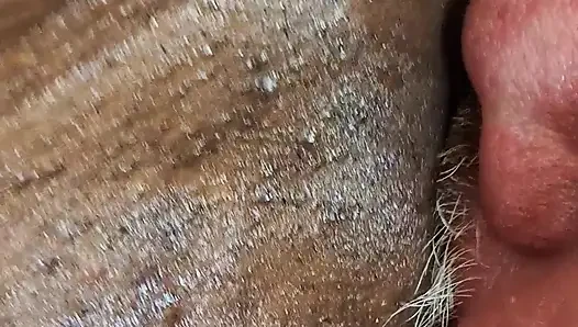 Little Blue Nasty loves being watched