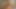 Bihari ladki ke gand me mota lund dal kar chikhe nikal di best anal sex missionary position (close up) Desi homemade video