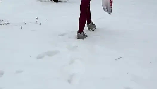 Muschi auf dem schnee