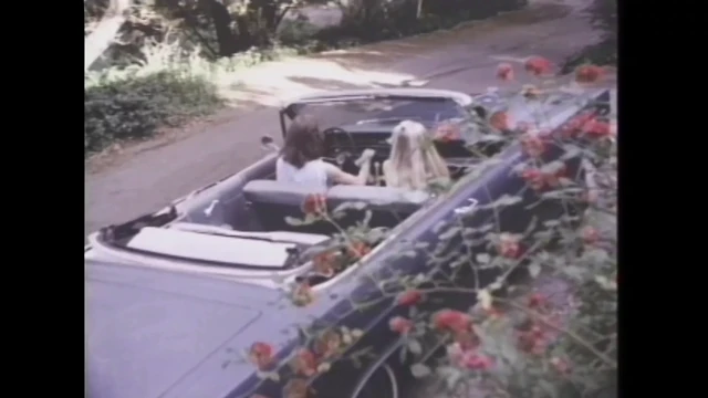 Vintage Pornstars 43
