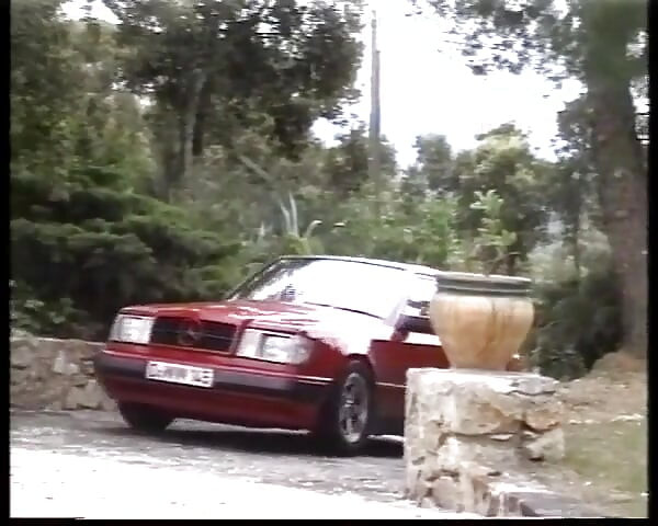 A tökéletes német csajnak nagy faszt kell szopnia