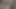 Üniversiteli kızın mazoşist evcil hayvan eğitimi, dört ayak üzerinde kırbaçlama, yiyecekleri ezdikten sonra çizmeleri ve ayakları yalama ve temizleme