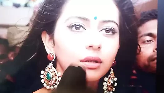 Kaur Preet porn video – First Cum Tribute on Rakul Preet Singh with Moaning