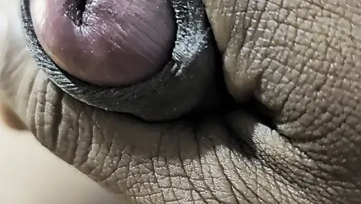 Sri lankan boy masturbation in the room