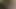 弱虫ブラシfukd