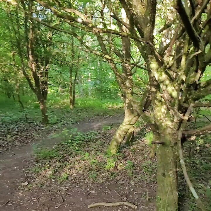 A BIG ONE🍀to be Fingered and Finish the CuL full of SperMe. Exhibit PuBLic in the forest. VaneSsaBiTCHx PariSChienneTrvprod⁹¹