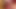 Stripchats - 変態ポルノスターキャスティングロールプレイのフォクシーとテッド