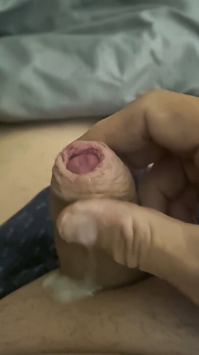 Paja matutina