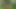 おしっこをかけて、それから犯された