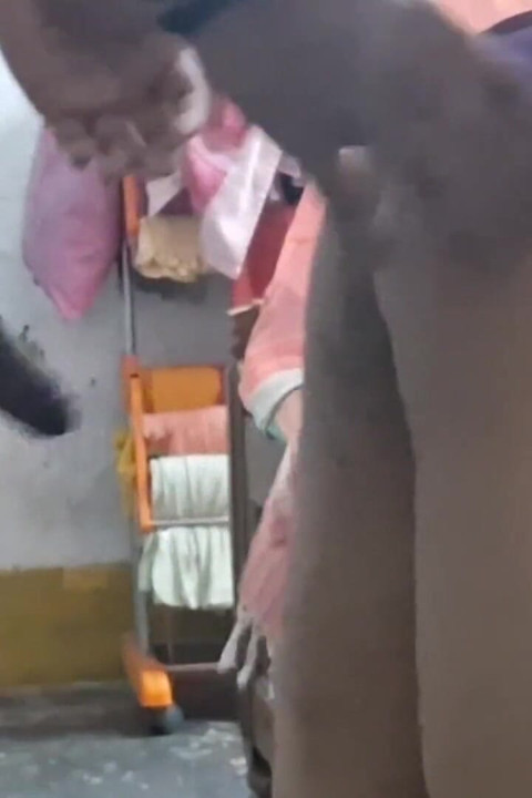 Sister in Law Is Very Cute and She Want to Fuck in Doggy Style