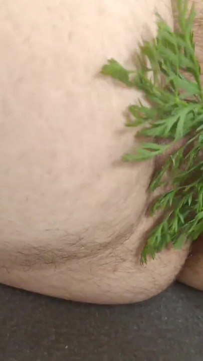 Powerful moment from "I put my girlfriend a carrot in this horny hairy fat cunt"