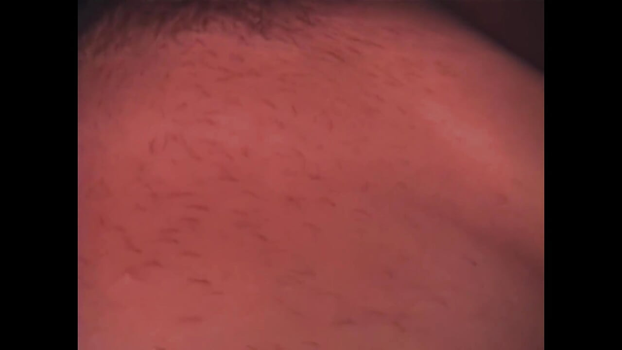 Un paradis între picioare