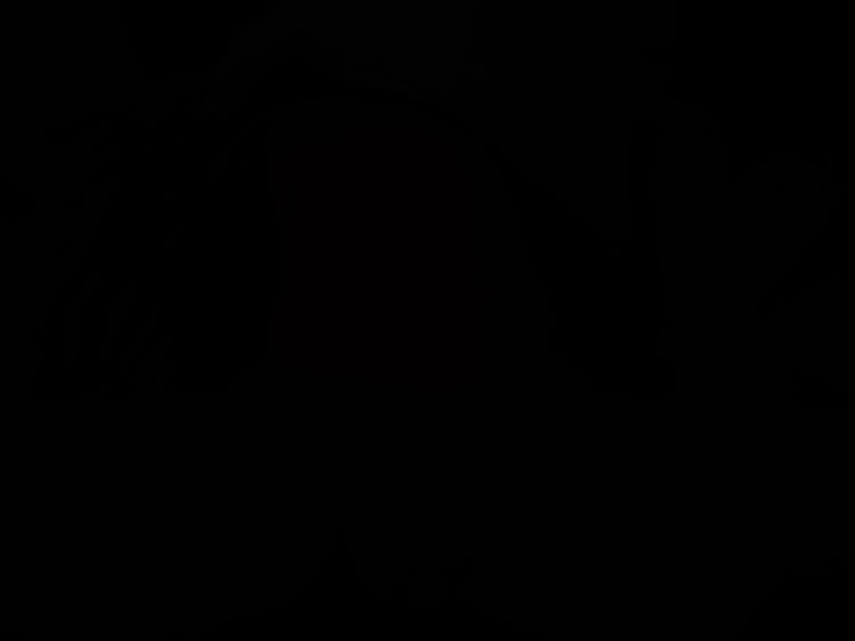 My Neighbor Doesn't Want You to See Her Face