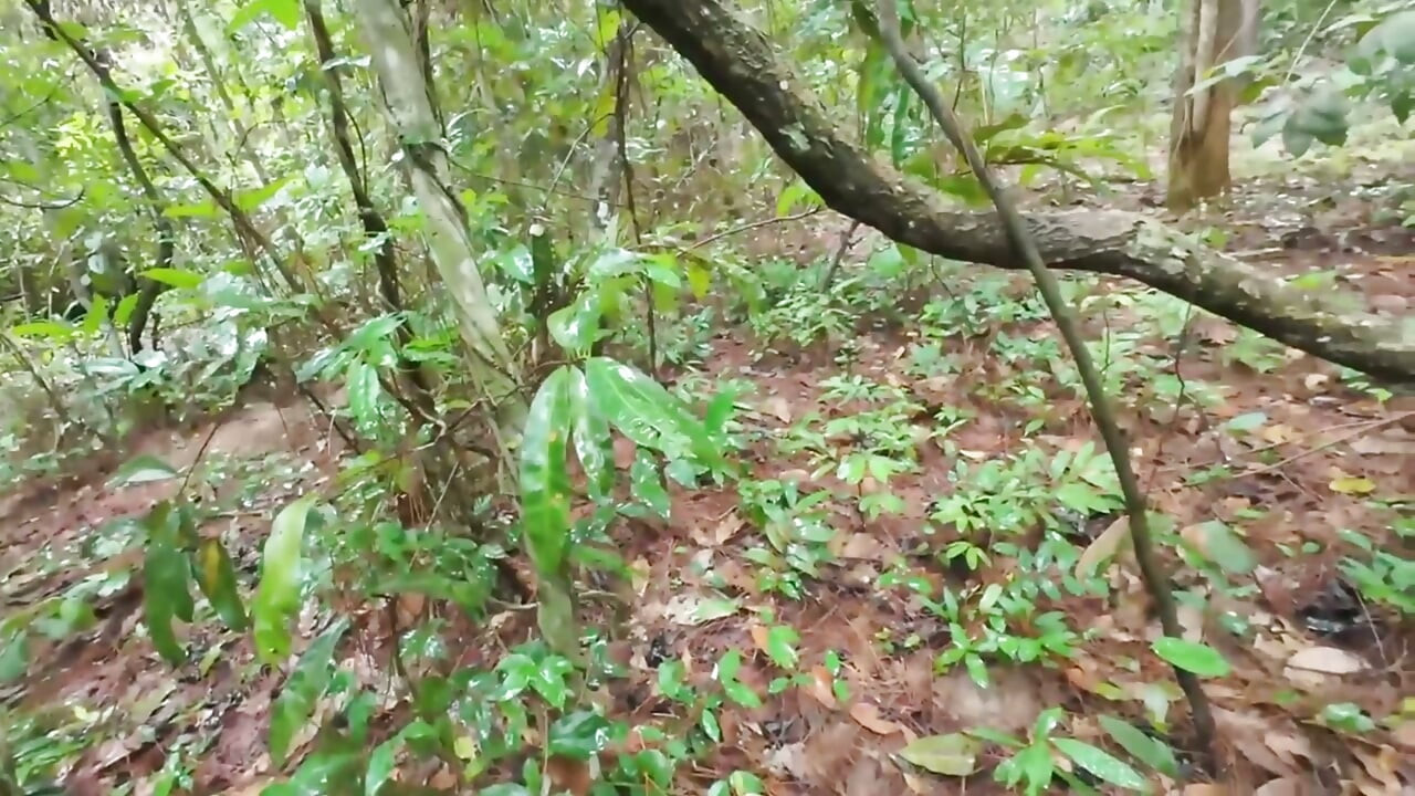 Thai Teenager Walks around Picking Mushrooms and Gets Fucked in the Pussy. Thai Audio
