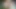 Peekapuss! Filming my pussy as I walk through the woods, before fondling my amazing tits