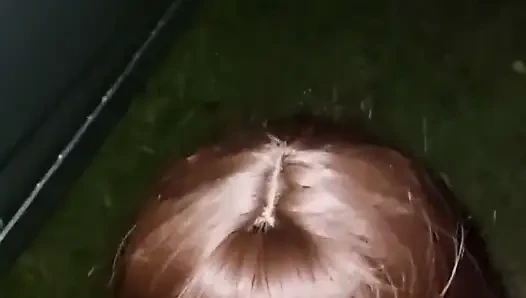 Mitternachtsgehorsam
