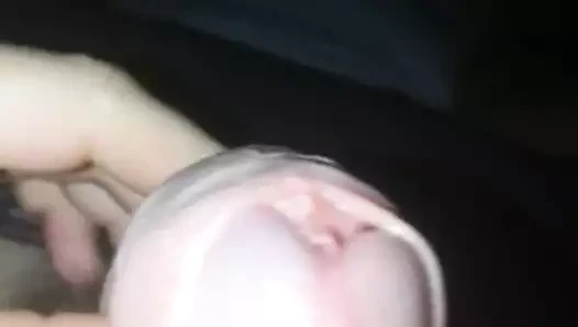 benim horoz gece görüşü