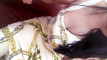 Pratinjau video