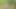Risky Outdoor Jerk off - Almost Caught & Huge Cumshot in the Woods