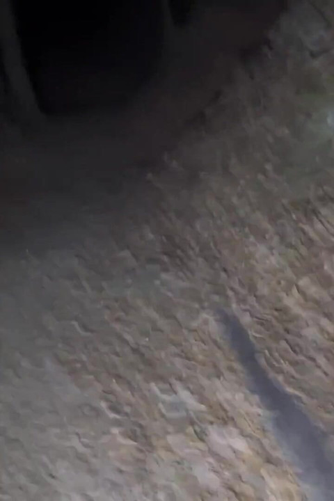 Night Hiking and Remove Most of My Clothes