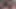 Amateur pov blowjob