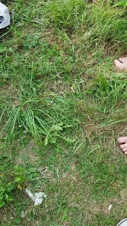 Neu