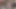 الملاك الآسيوي 26108