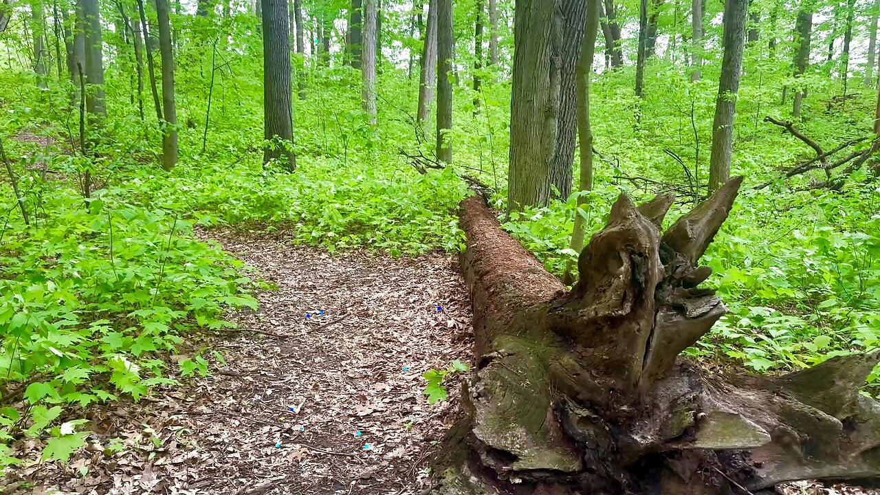 A Nature Walk and Facial In The Woods