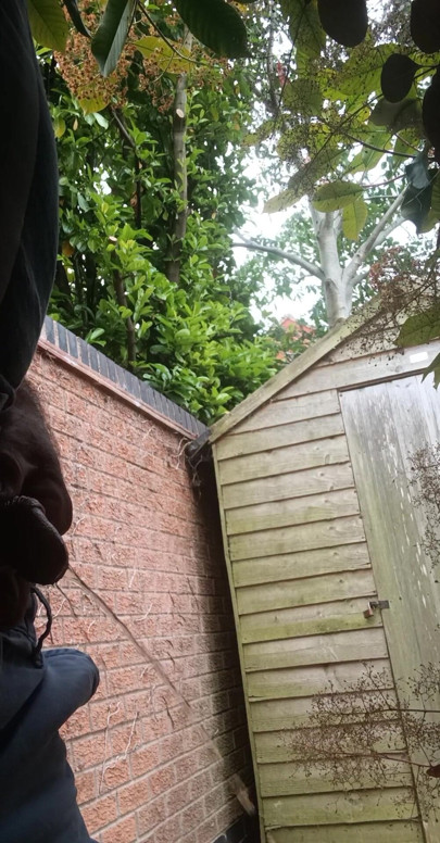 More pissing in the garden.