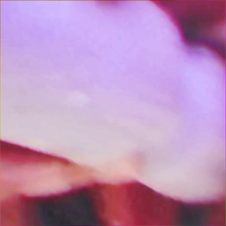 Lively thing