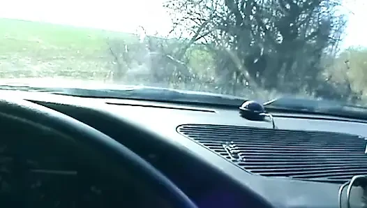 Blonde Sucks Cock and Shows Wet Pussy in Car