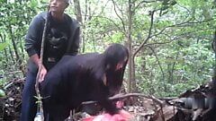 Padrasto asiático fazendo pêlo na floresta com prostituta mais jovem