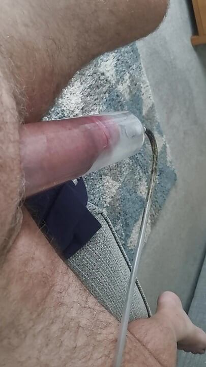 Con cu rất mập cần đụ