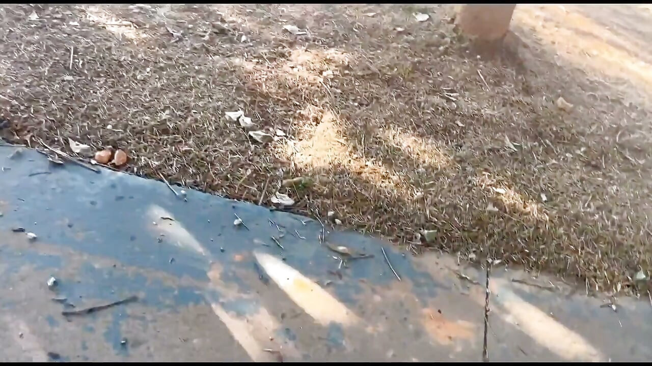 Wife Shows off in Public at the Park!