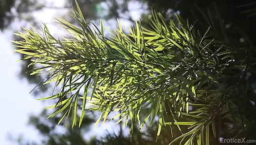 Erotica x - yang terpenting adalah saat ini