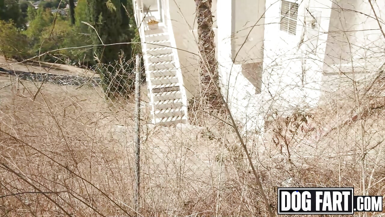 DOGFART - Corpo de Bombeiros Slim Poke extingue a multa de Tifa com esmagamento de pau monstro
