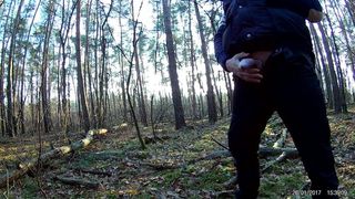 Im Wald 26.1.2017