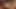 Hei Лизание киски, подборка с Marcy Lee и Shione Cooper