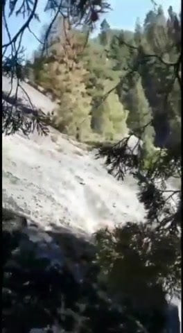 新的印度色情影片