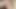 Oiled French doll with big ass fucked by BBC