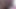 キャットノワールAMラフダック(あなたが気に入ってPMVクリップを聴くなら)