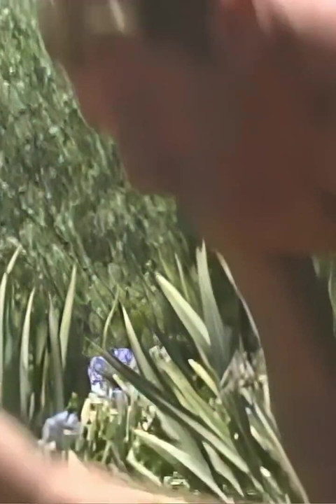 She Opens Wide for the Gushing Cumshot From a Hard Throbbing Cock