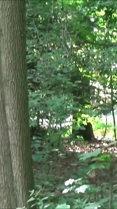 Must-see moment from "Cute Teen Jeeny Real Public Threesome in Berlin Tiergarten"