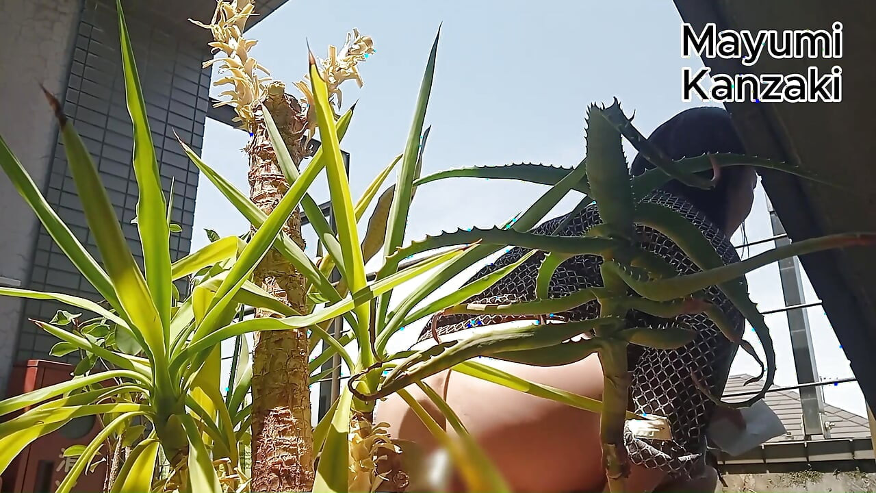 Orinar En Una Maceta