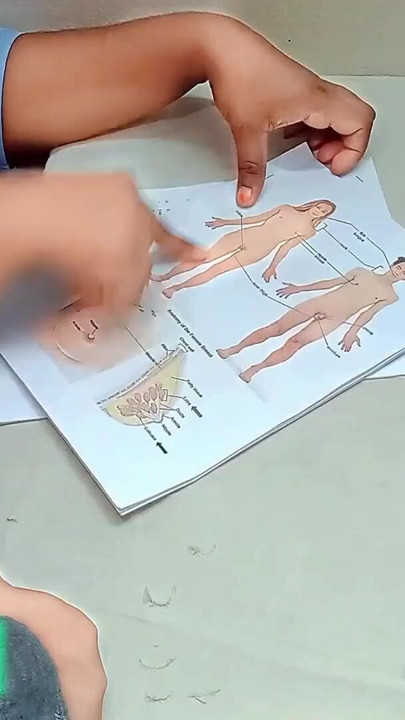 Desi College Girl Sex Education Part- 1 | Clip 1