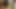 Huge dildo 15 inch King Cock pt.2