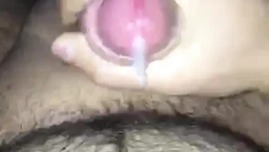 Sikim çekiç gibi