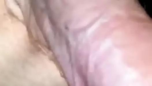 Pija madura erecta muy dura